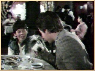Эрик с отцом и собакой в ресторане